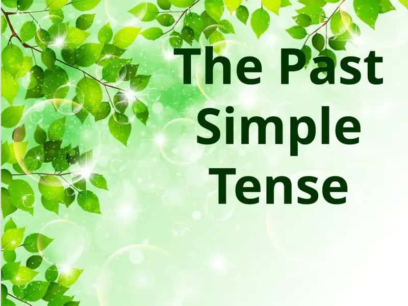 The Past Simple Tense 1