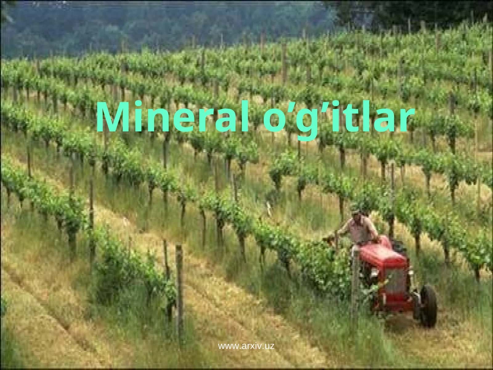 Mineral o’g’itlar 1