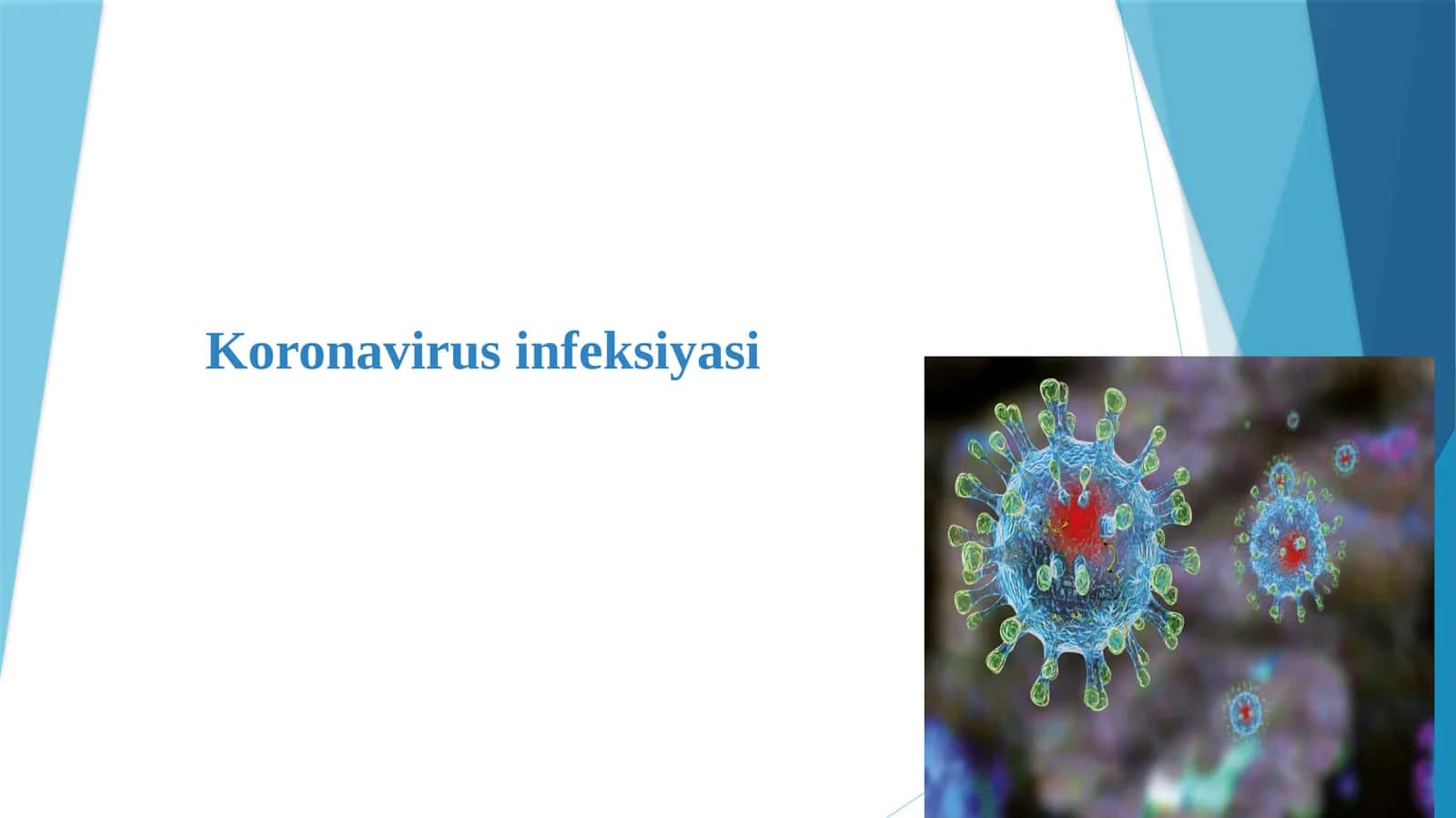 Koronavirusinfeksiyasi 1