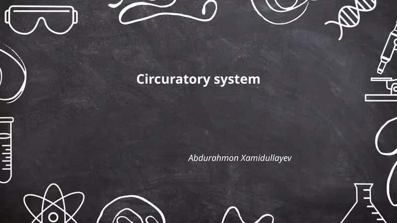 Circuratory system 1