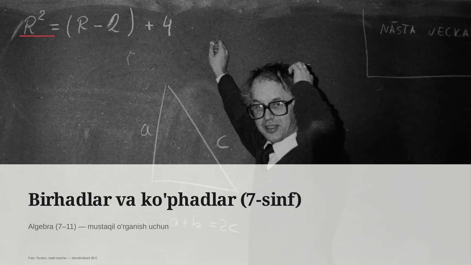 Birhadlar va ko'phadlar (7-sinf) 1