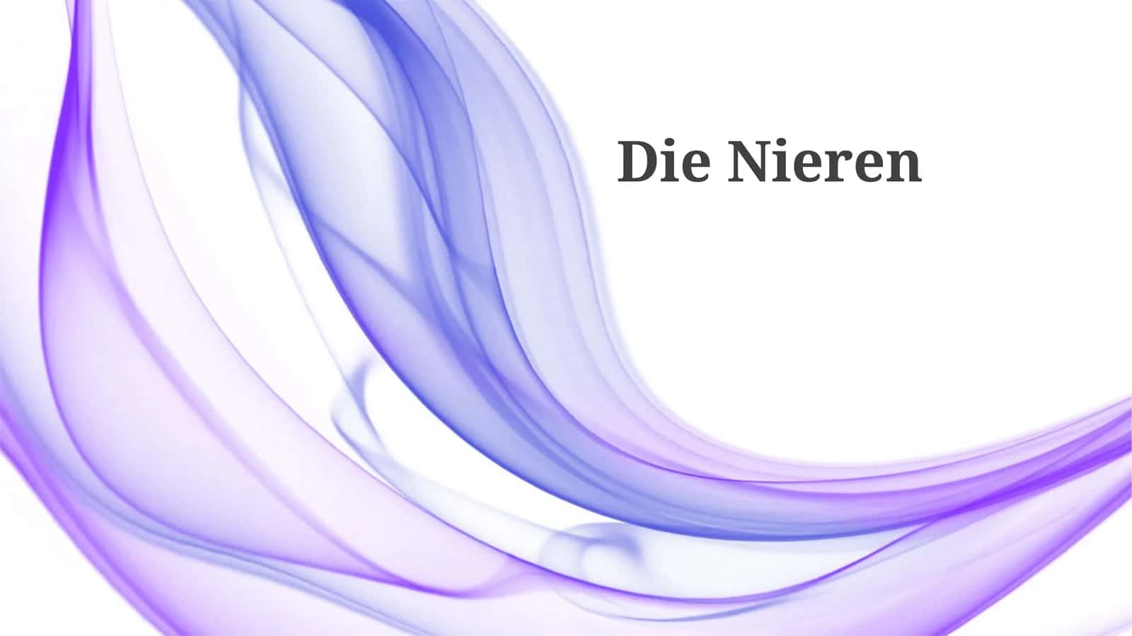 DieNieren 1