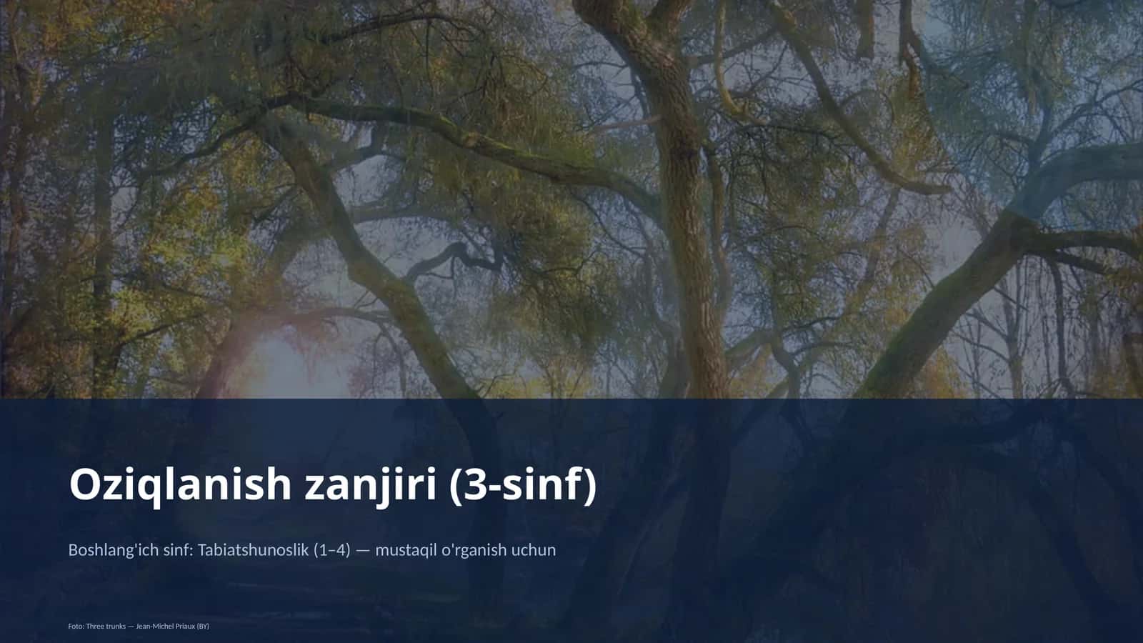 Oziqlanish zanjiri (3-sinf) 1