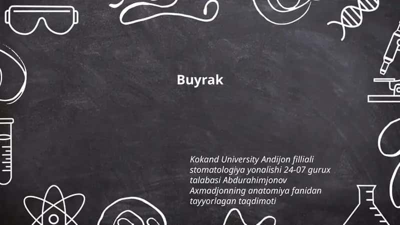 Buyrak 1