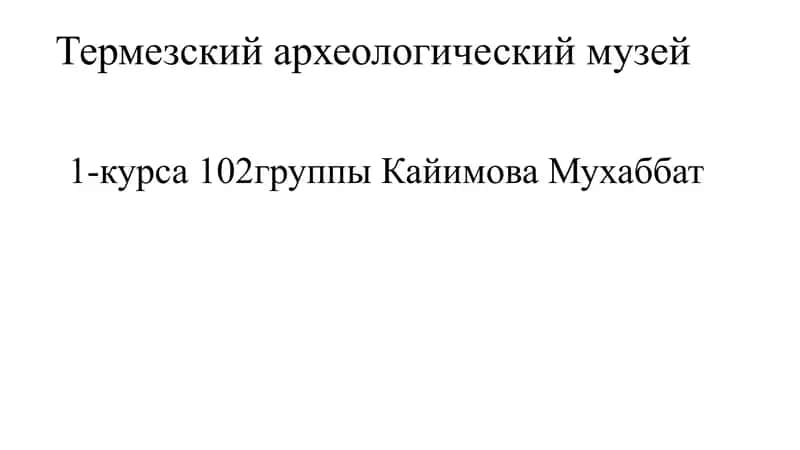 Термезский археологический музей 1