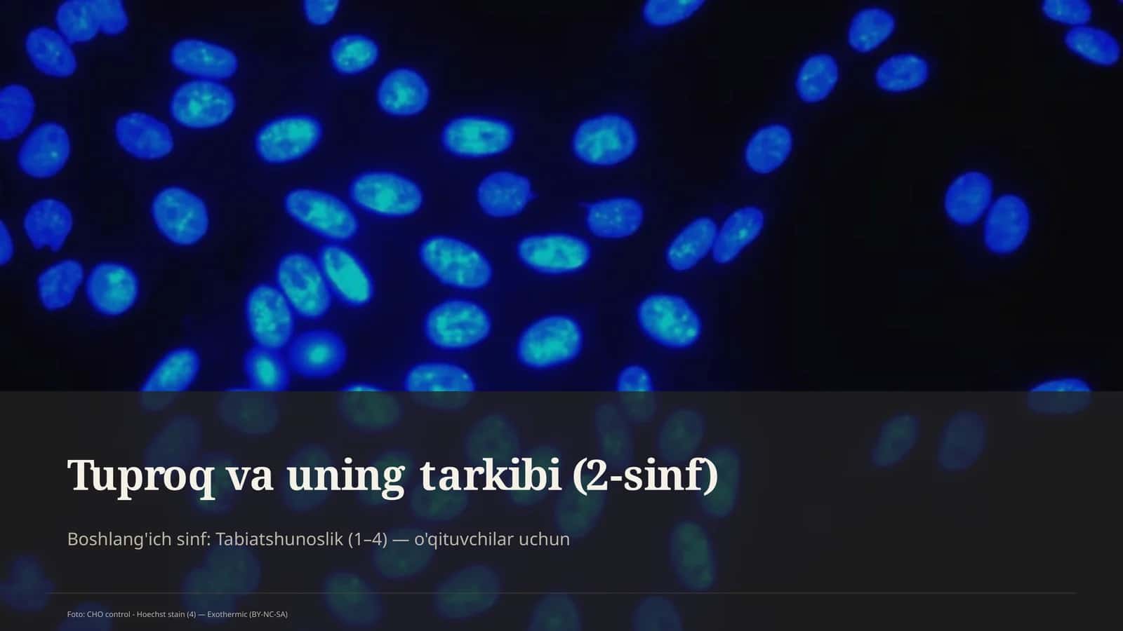 Tuproq va uning tarkibi (2-sinf) 1