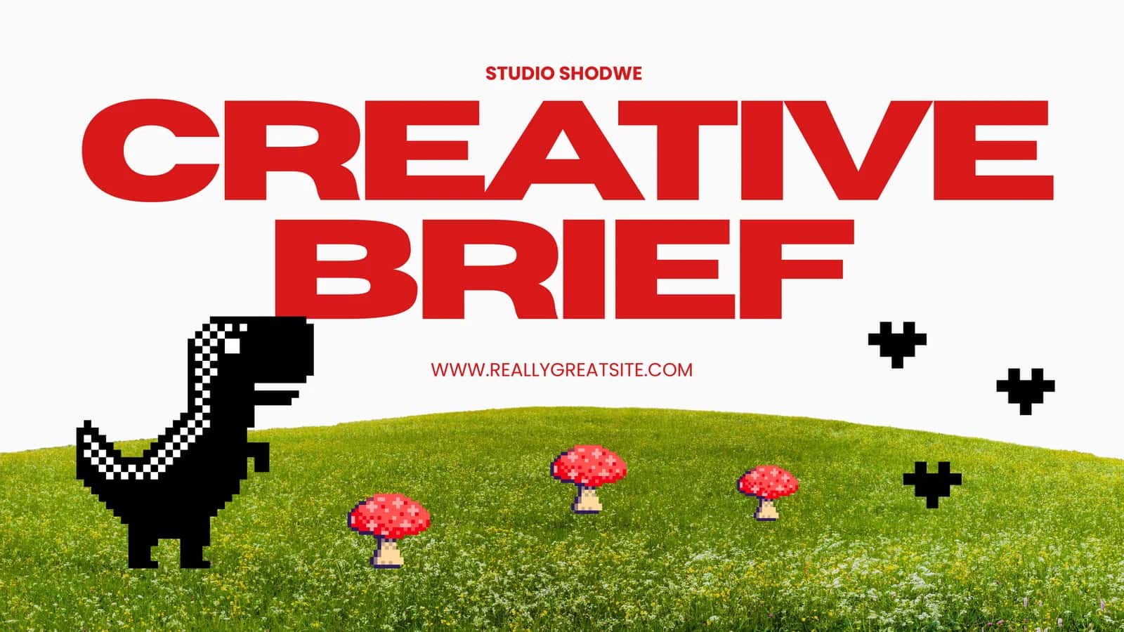 STUDIO SHODWE 1