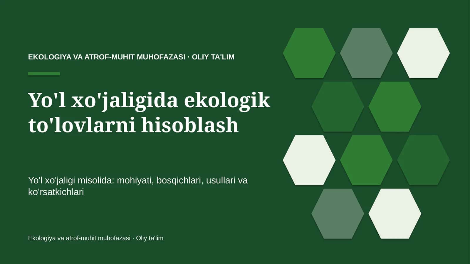 Yo'l xo'jaligida ekologik to'lovlarni hisoblash 1