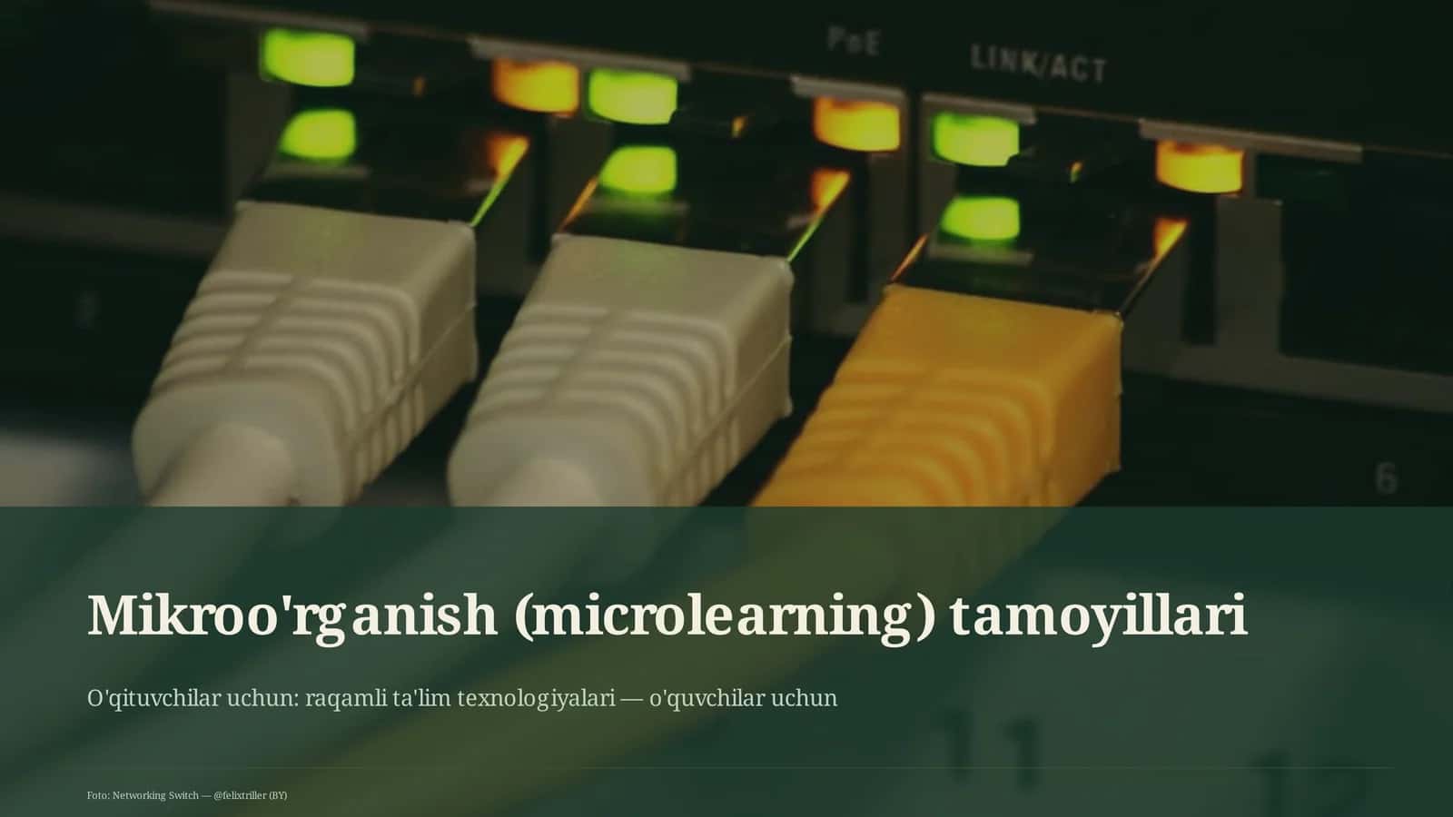 Mikroo'rganish (microlearning) tamoyillari 1