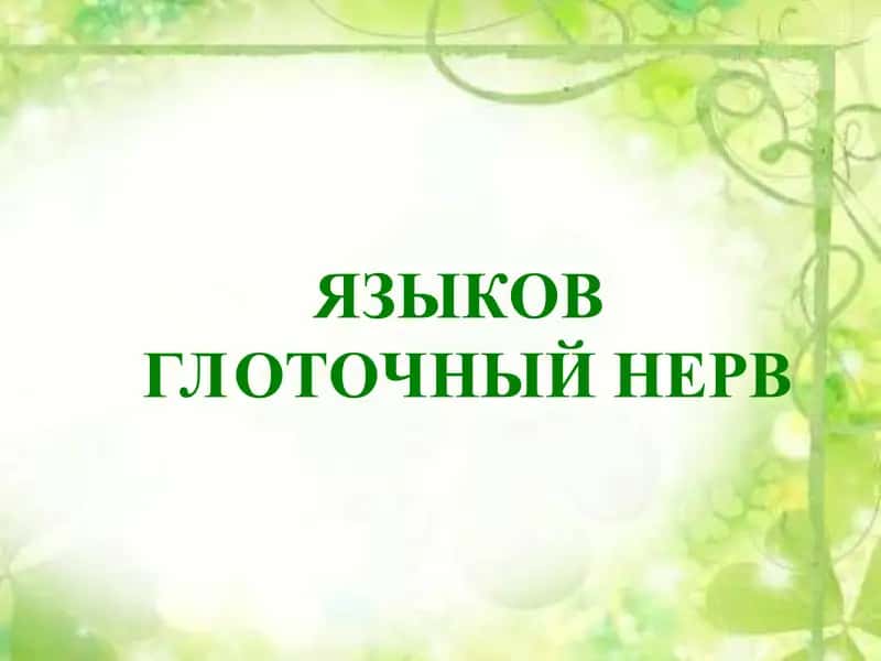 Языкоглоточный нерв 1