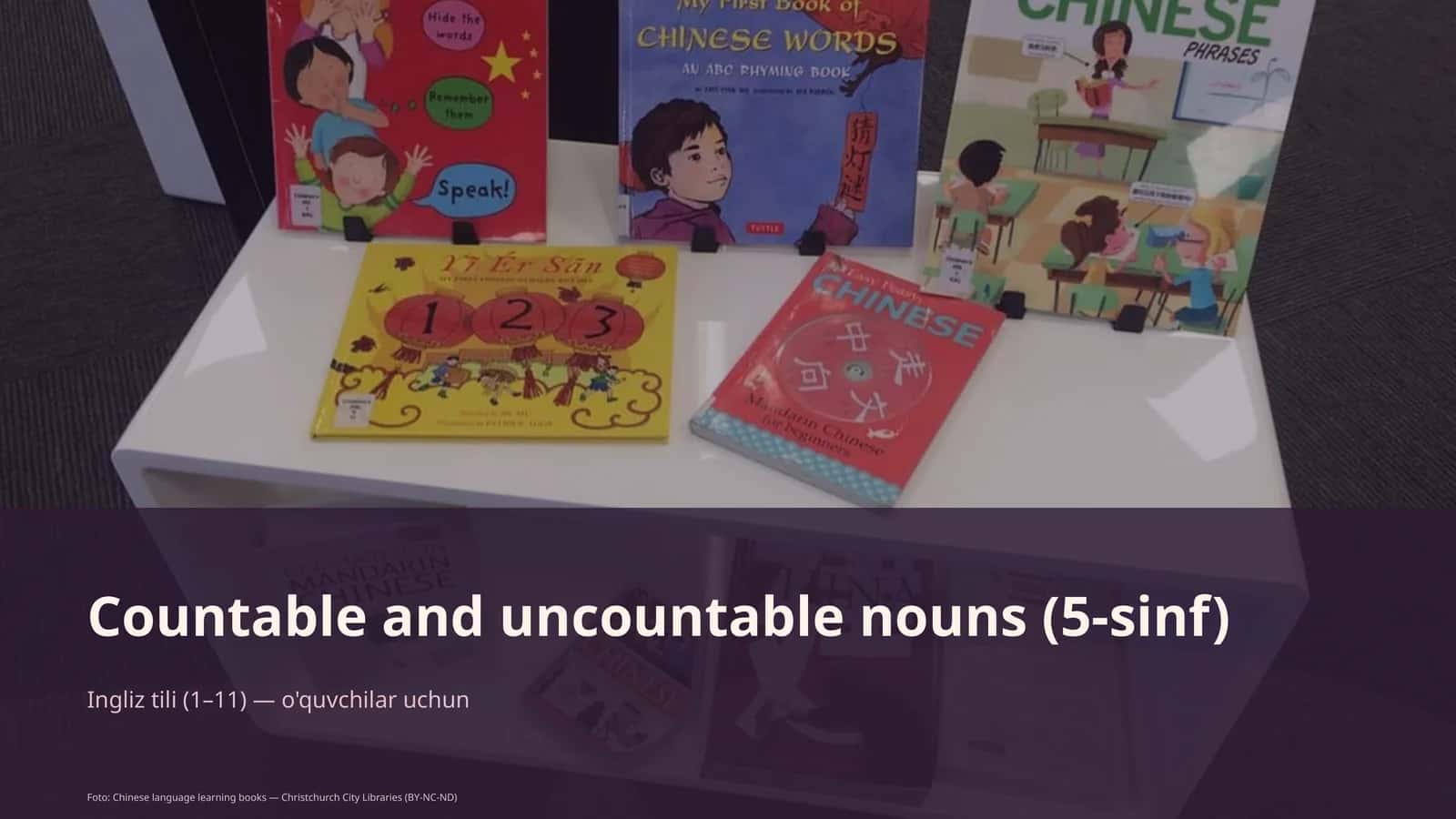 Countable and uncountable nouns (5-sinf) 1