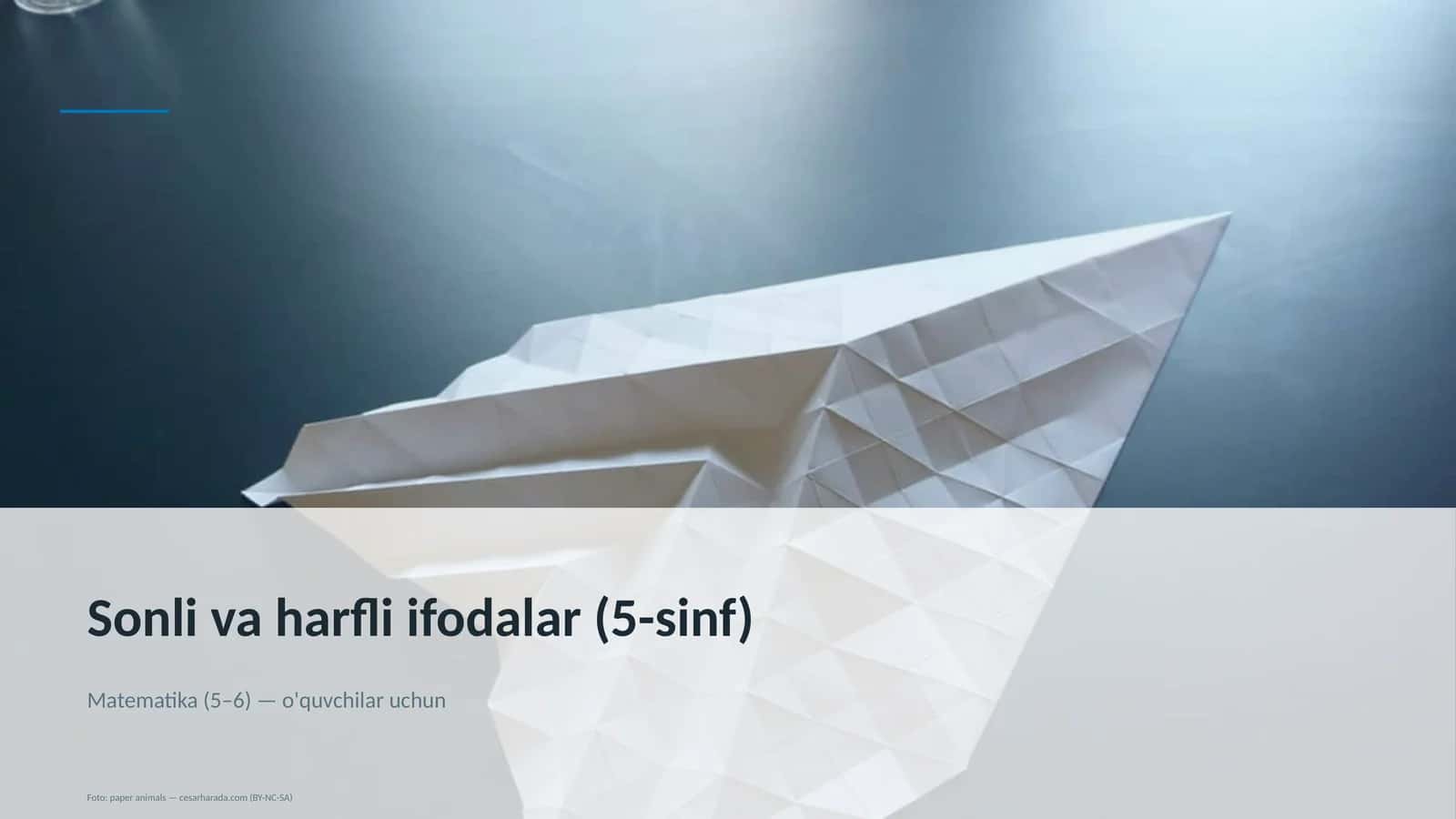Sonli va harfli ifodalar (5-sinf) 1