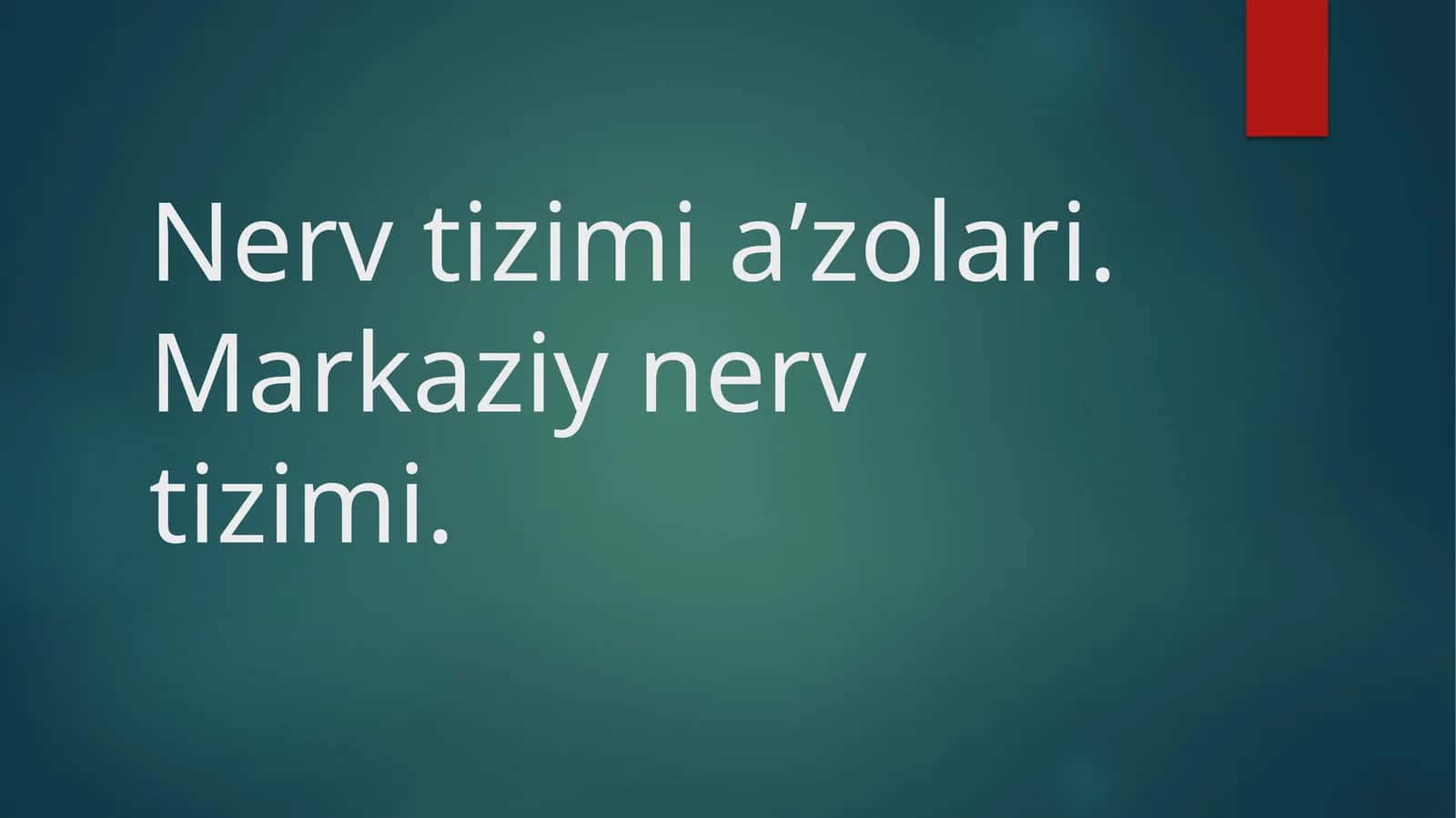 Asab tizimi 1