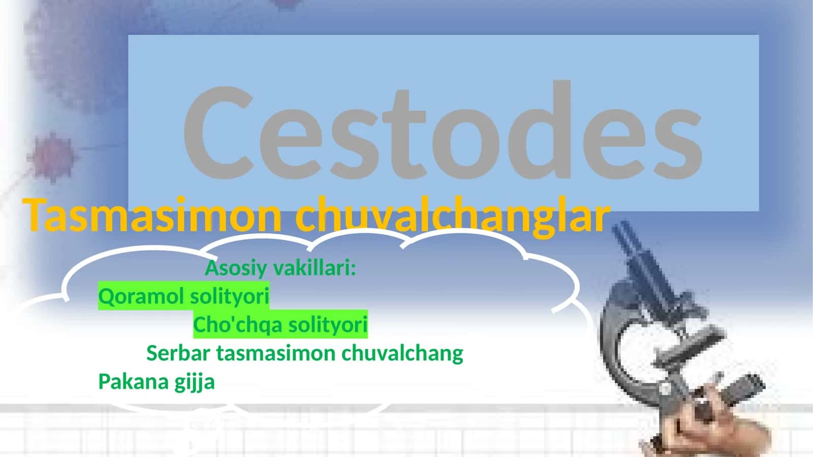 Tasmasimon chuvalchanglar 1
