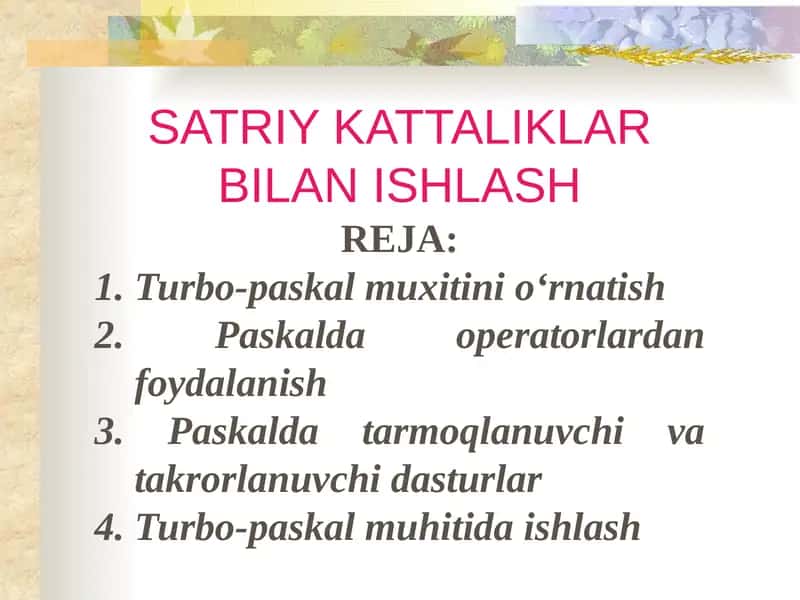 SATRIY KATTALIKLAR BILAN ISHLASH 1