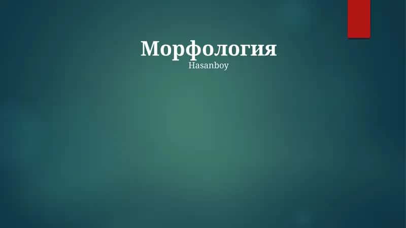 Морфология 1