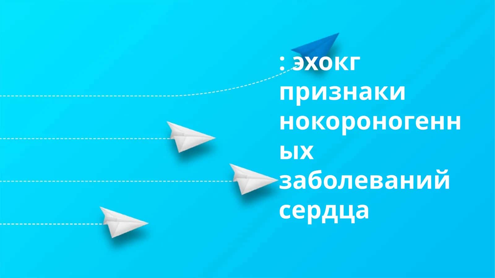 Эхокардиография 1