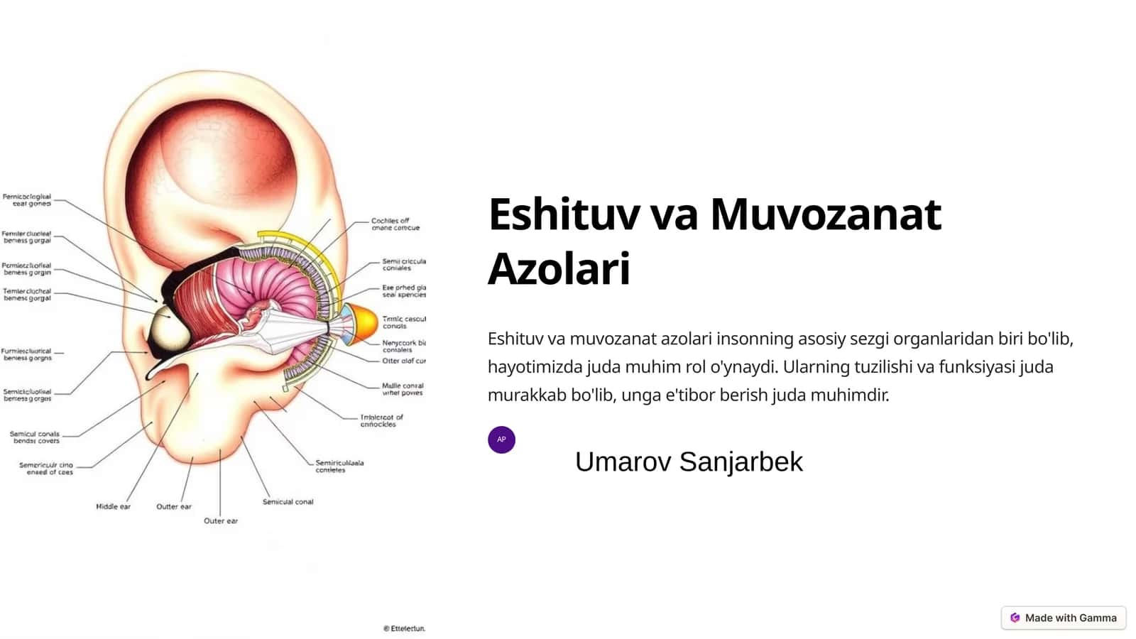 Eshituv va Muvozanat Azolari 1