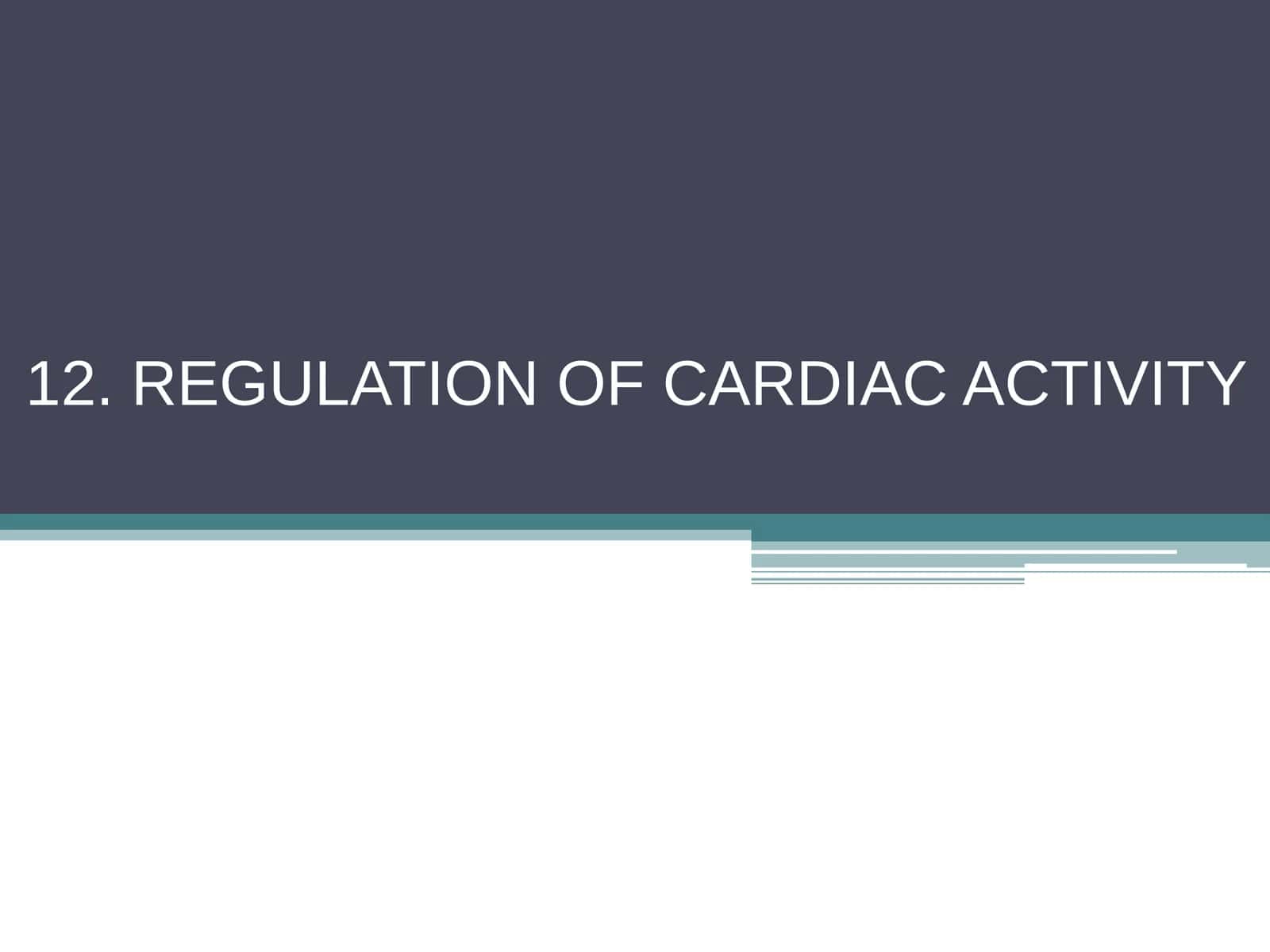REGULATION OF CARDIAC ACTIVITY 1