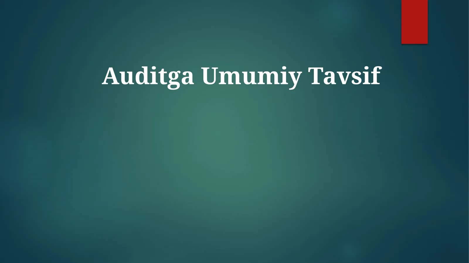 AuditgaUmumiyTavsif 1