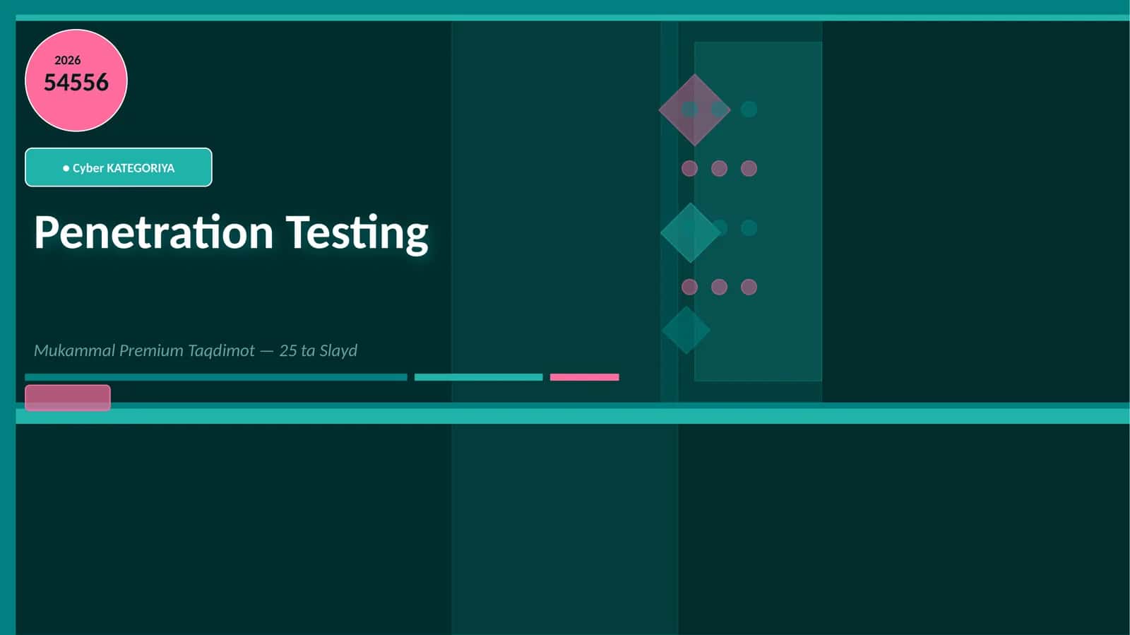 Penetration Testing 1