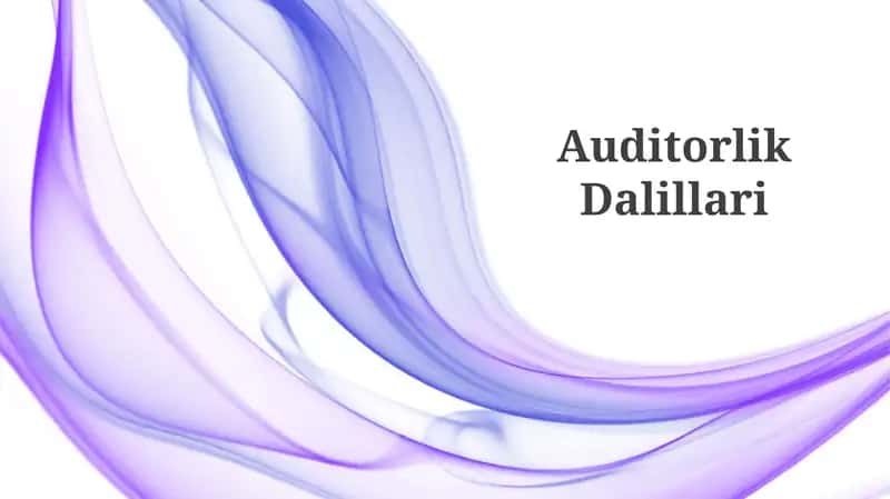 Auditorlik Dalillari 1