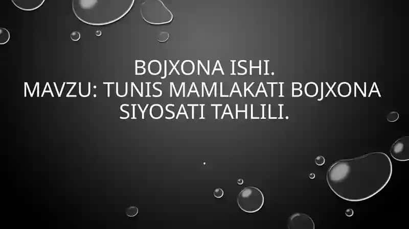 TUNIS mamlakati bojxona  siyosati tahlili