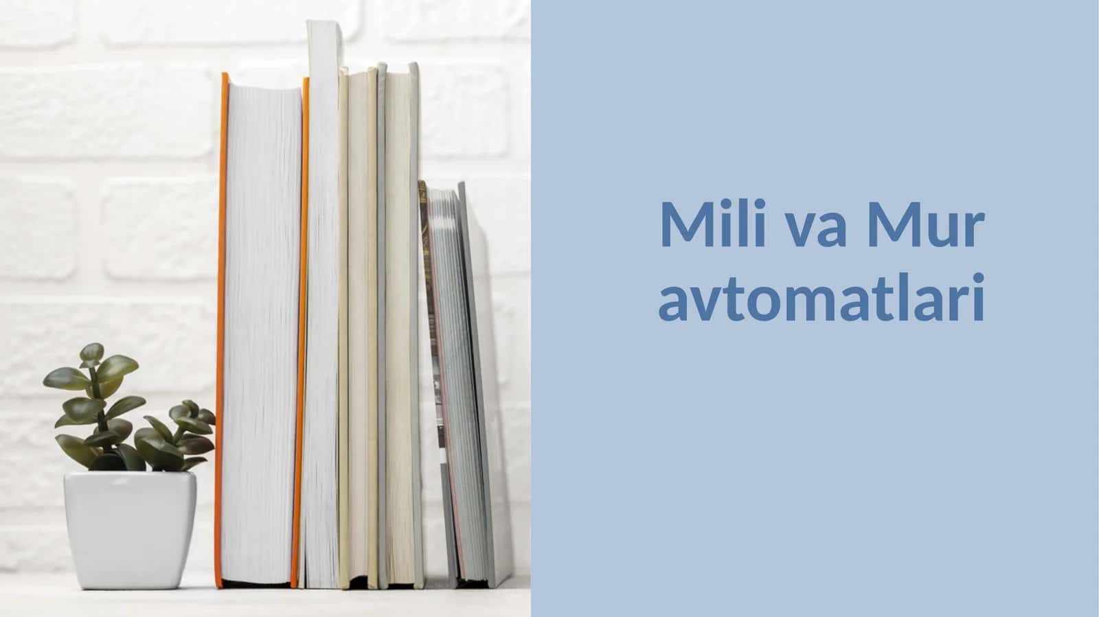 Mili va Mur 1