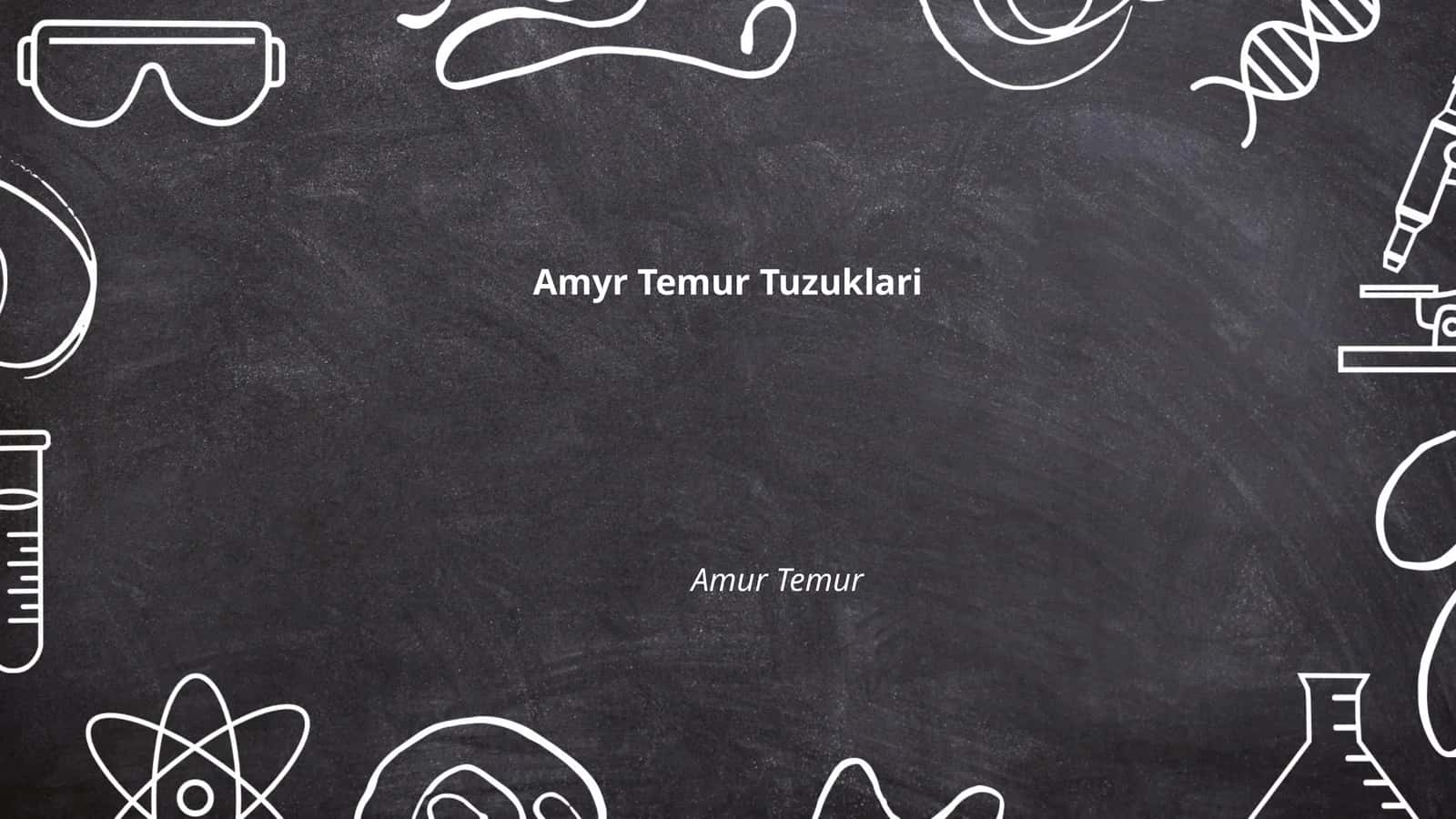 Amyr Temur Tuzuklari 1