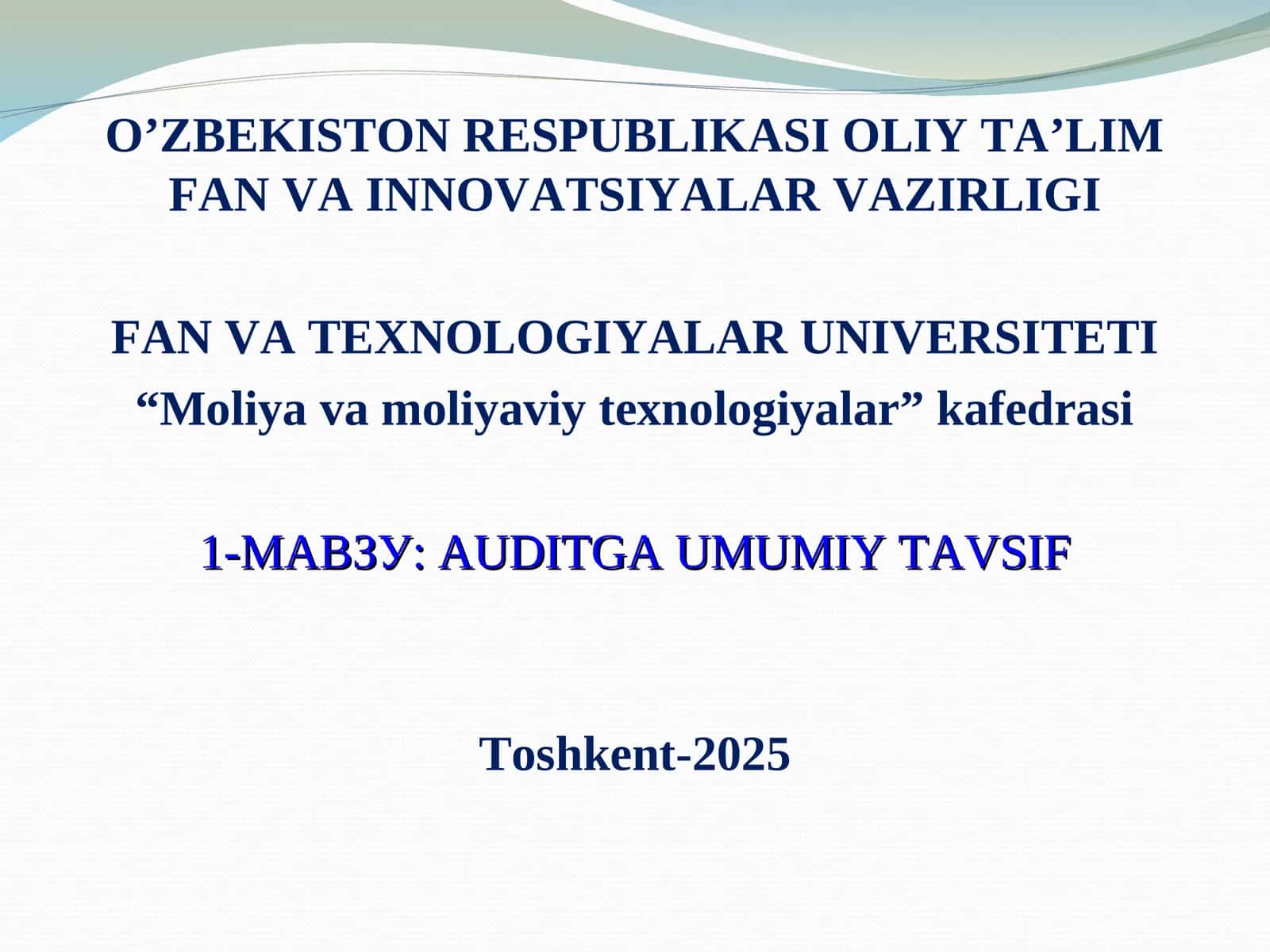 AUDITGA UMUMIY TAVSIF 1