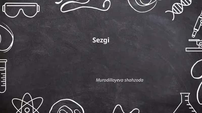 Sezgi 1