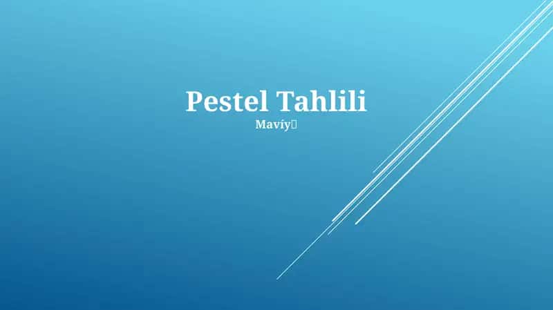 Pestel Tahlili 1