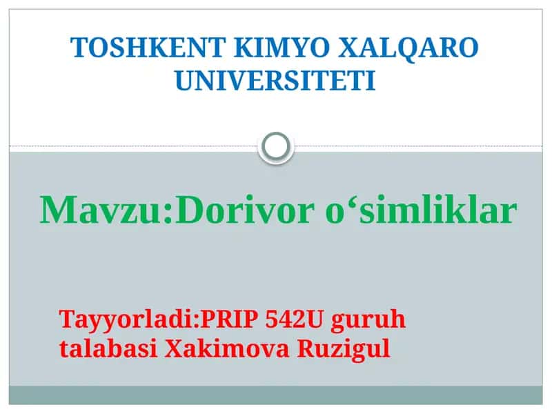 Yalpiz 1