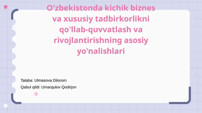 Kichik Biznes va Xususiy Tadbirkorlikni Qo'llab-Quvvatlash 1