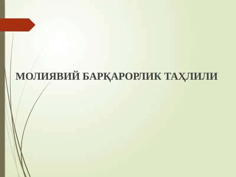MOLIYAVIY BARQARORLIK TAHLILI 1
