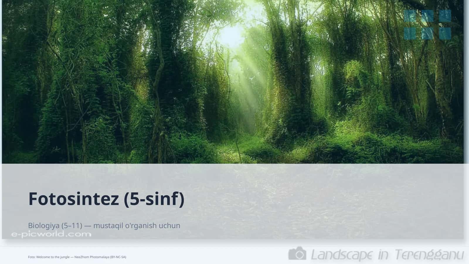 Fotosintez (5-sinf) 1