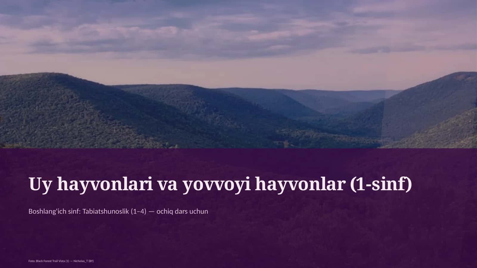 Uy hayvonlari va yovvoyi hayvonlar (1-sinf) 1