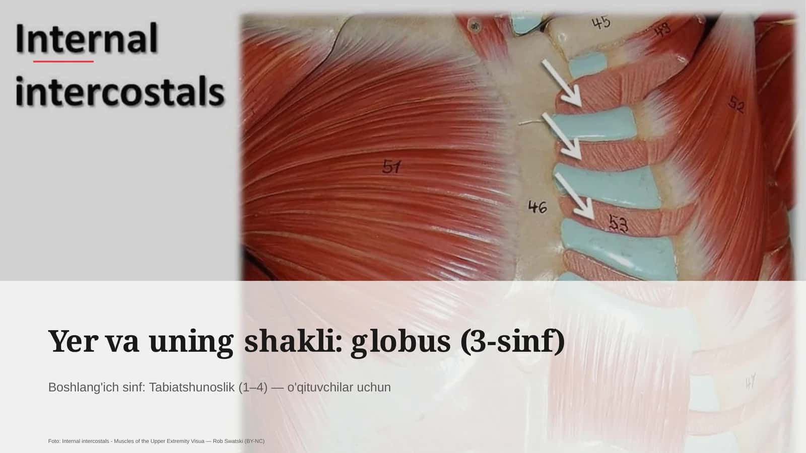 Yer va uning shakli: globus (3-sinf) 1