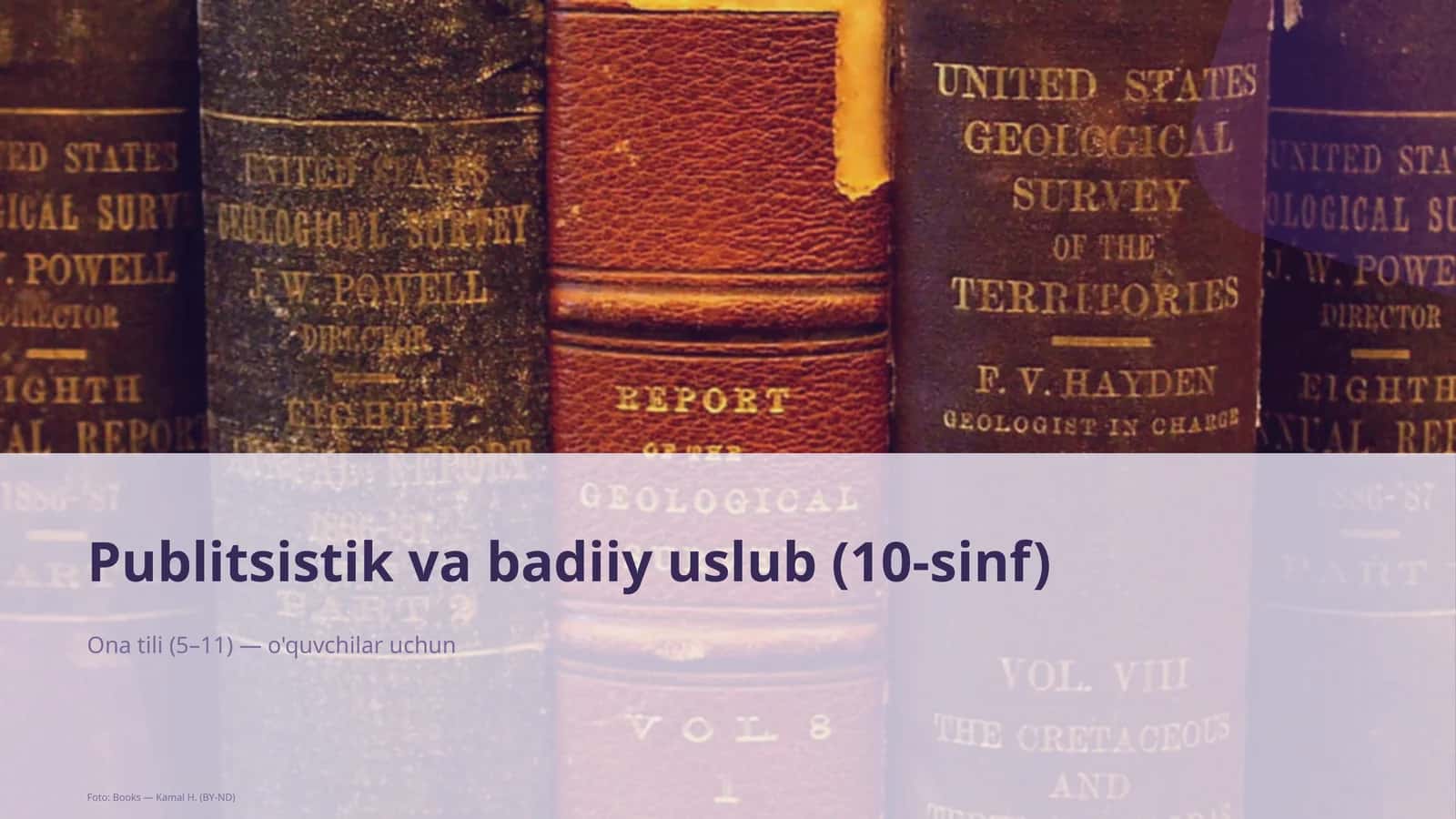 Publitsistik va badiiy uslub (10-sinf) 1