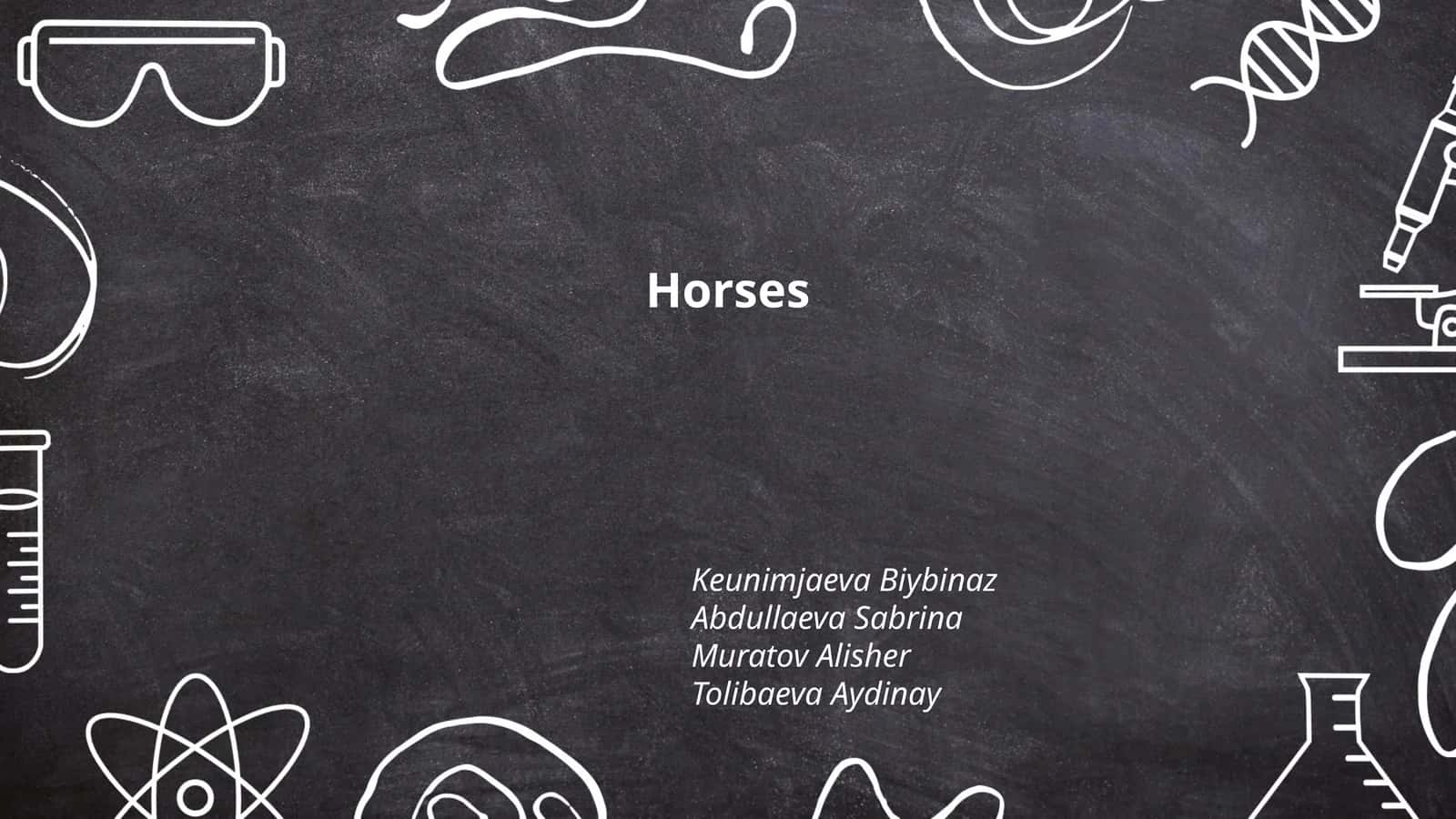 Horses 1