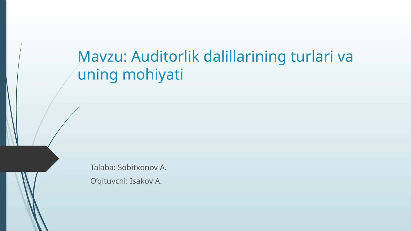 Auditorlik dalillari 1