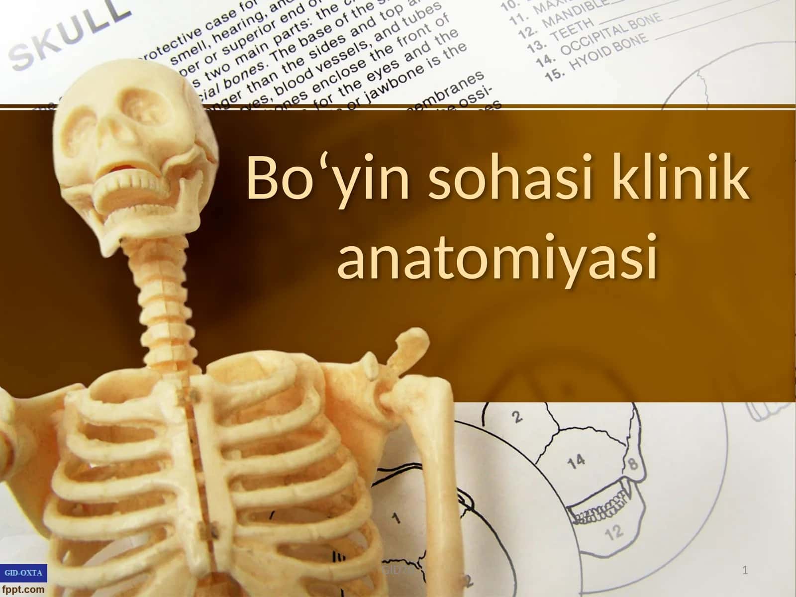 Boʻyin sohasi klinik anatomiyasi 1