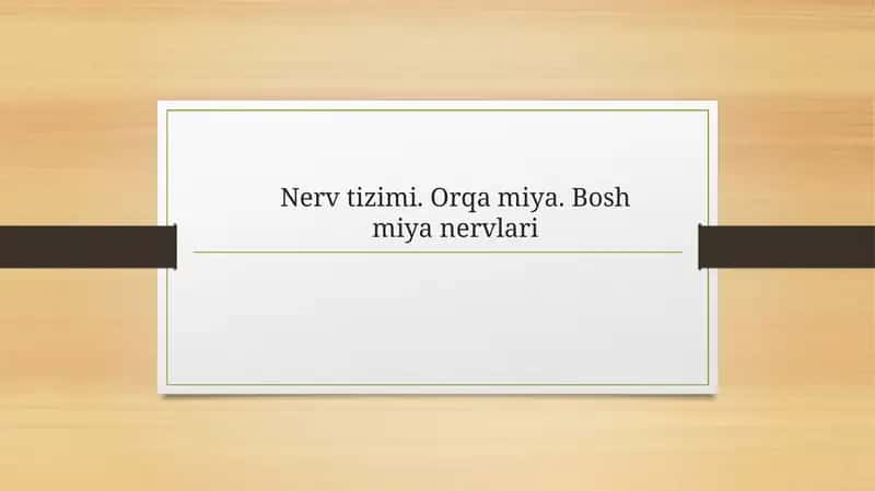 Nerv Tizimi: Orqa Miyan 1