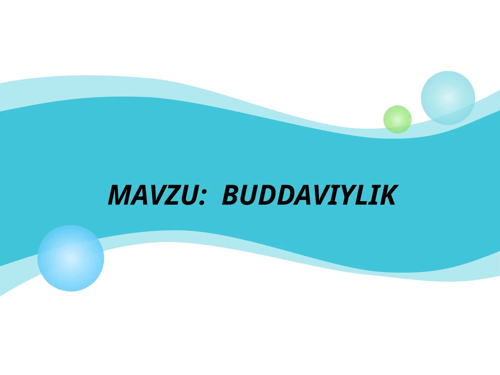 BUDDAVIYLIK 1