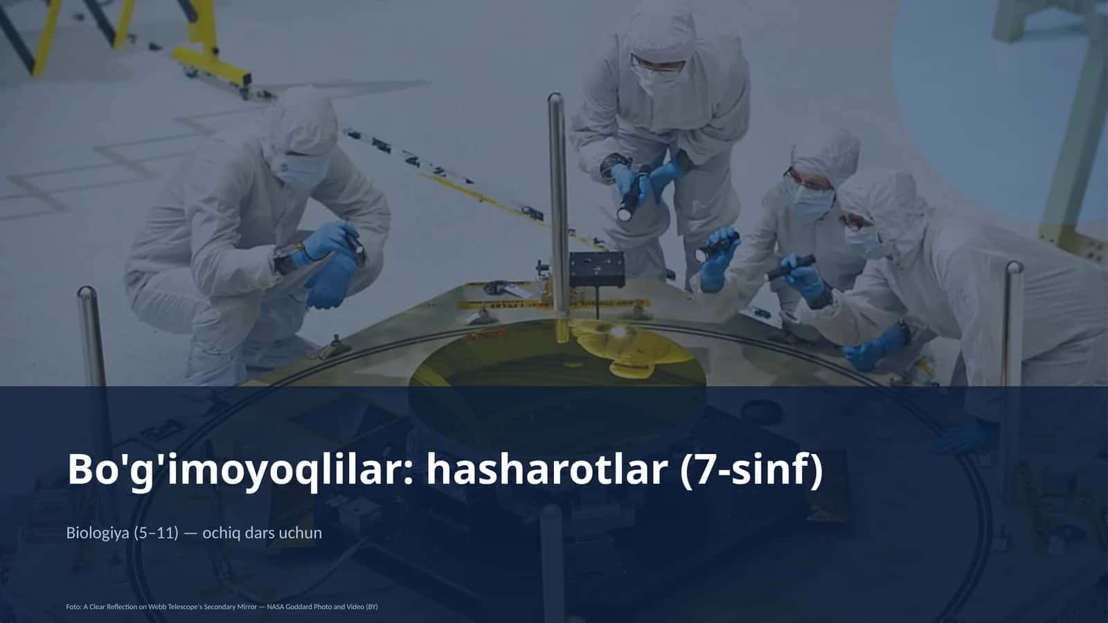 Bo'g'imoyoqlilar: hasharotlar (7-sinf) 1