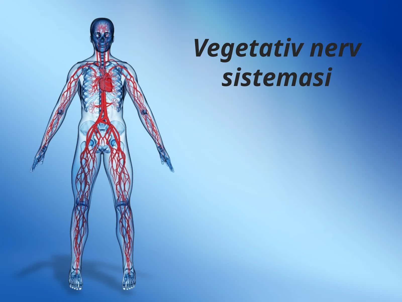 Vegetativ nerv sistemasi 1