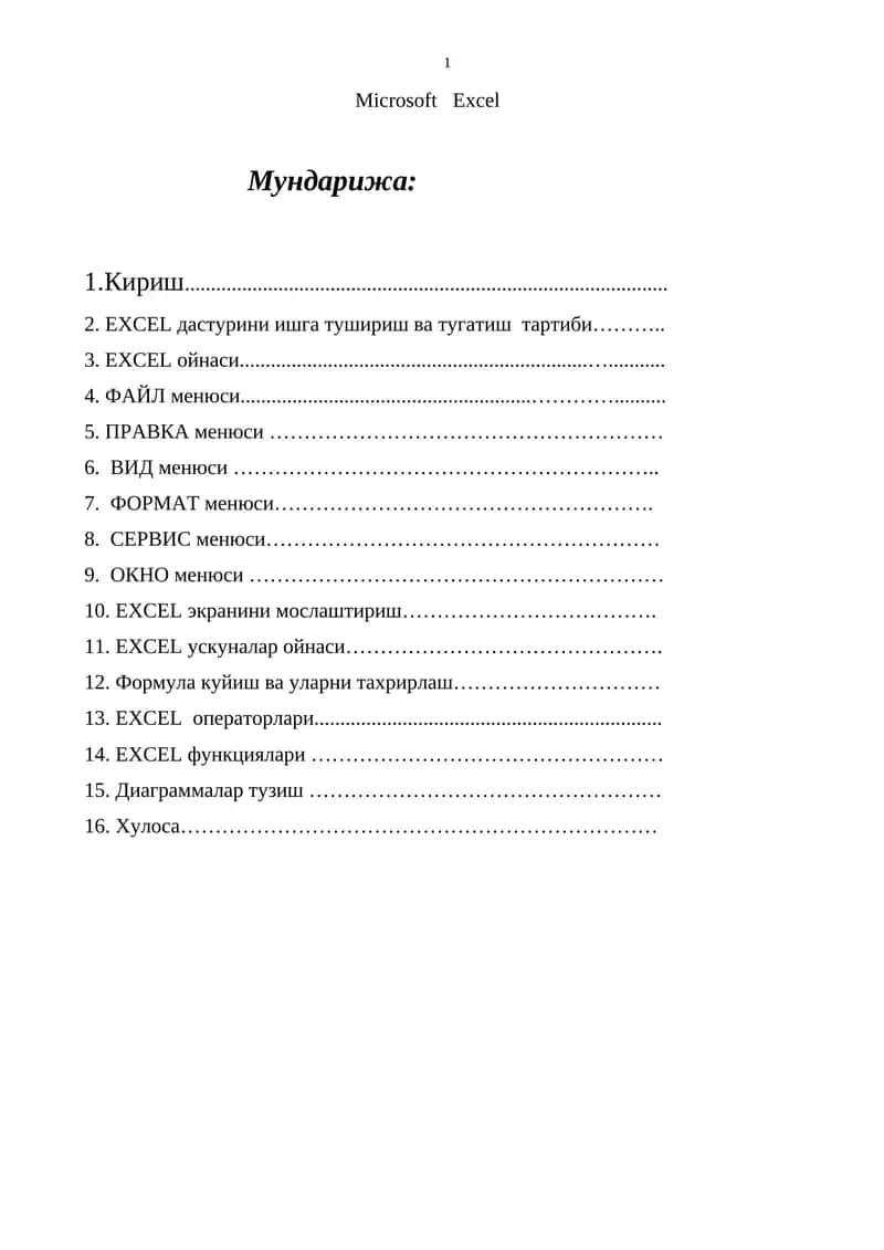 Microsoft Excel 1