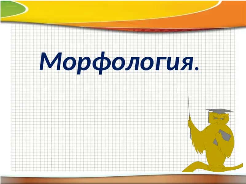 Морфология 1