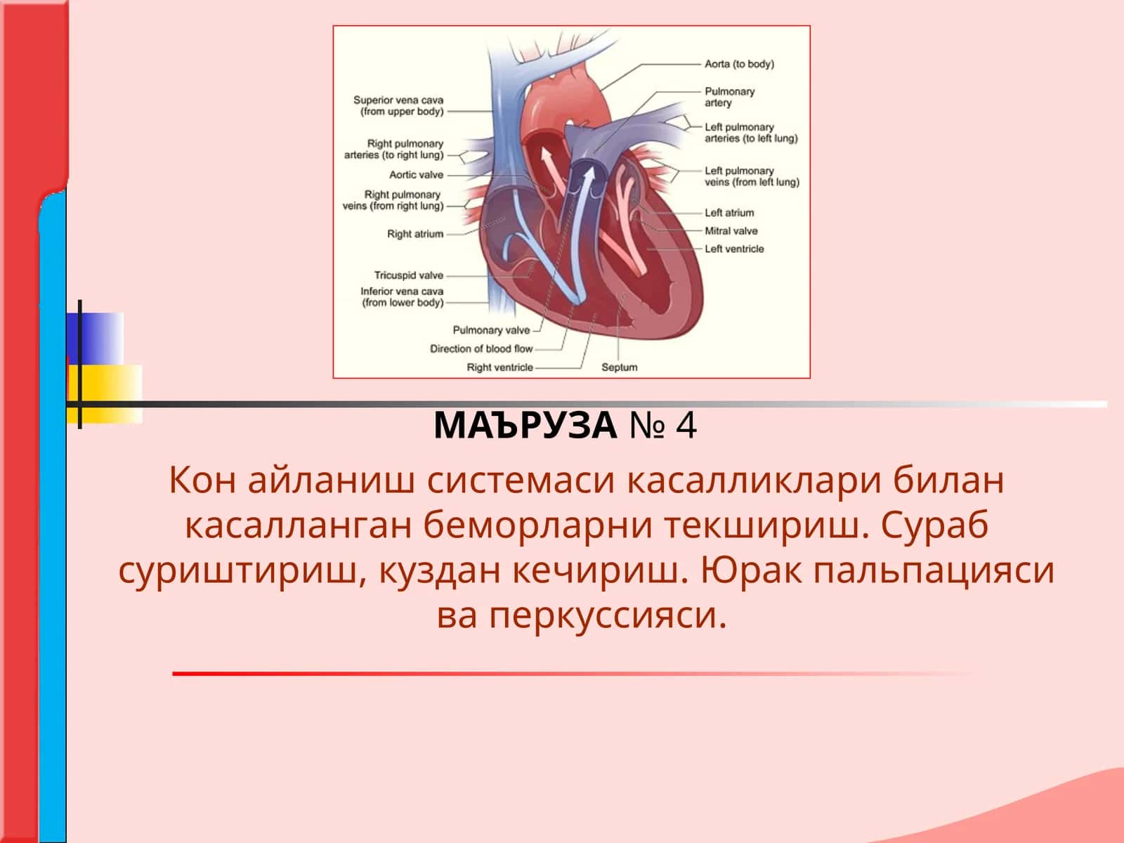 Кон айланиш системаси касалликлари билан касалланган беморларни текшириш. Сураб суриштириш, куздан кечириш. Юрак пальпацияси ва перкуссияси. 1