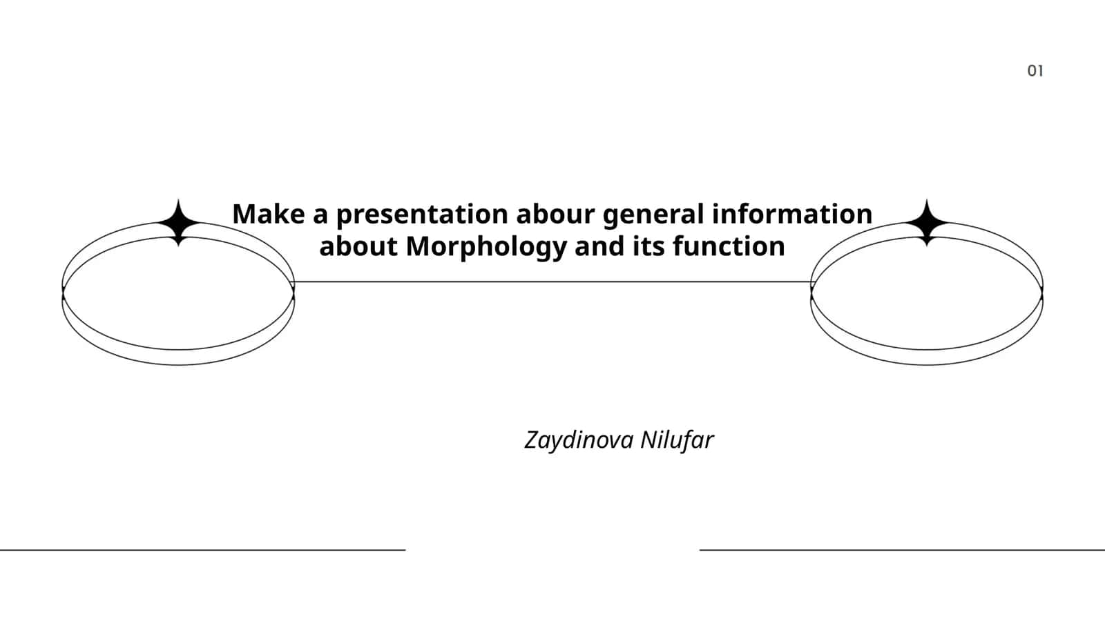 General Information about Morphology 1
